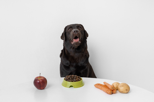 Best Food Options Containing Potassium