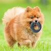 Dog Chew Ring