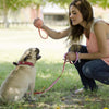 Dog Toy Rope Ball Tug-War