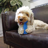 Spike Dog Chew Bone