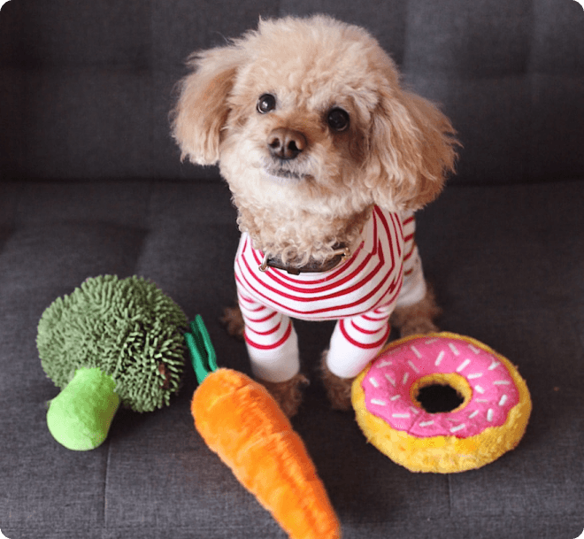 How to Wash Dog Toys & Protect Against Viruses - RexiPets