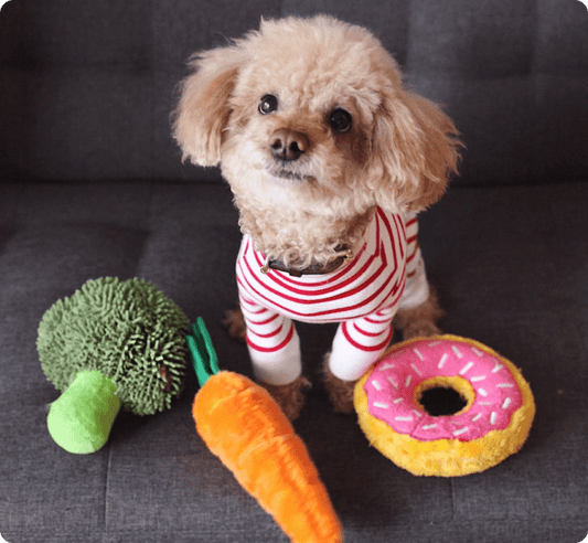 How to Wash Dog Toys & Protect Against Viruses - RexiPets