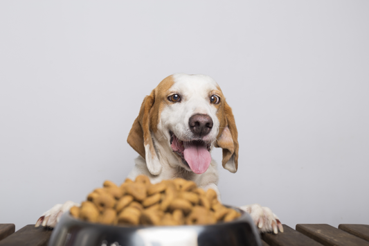 Natural Calcium Sources for Dogs: Expert Guide