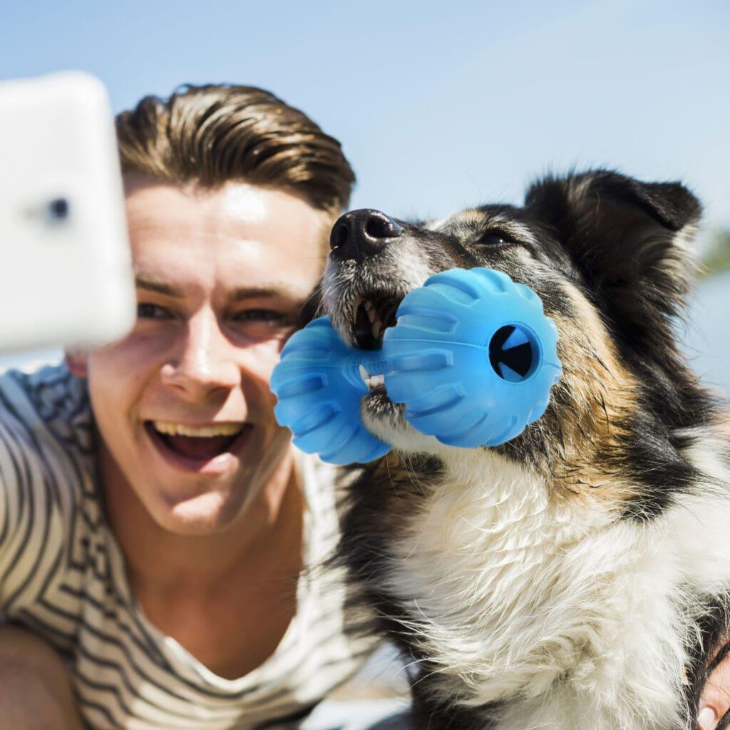 Best Toys for Anxious Dogs in 2024
