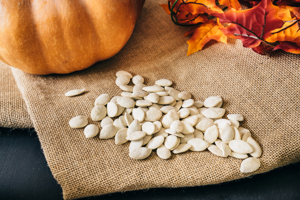 Are pumpkin seeds toxic to shop dogs