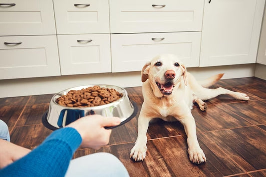 Best Low-Fat Dog Treats in 2024