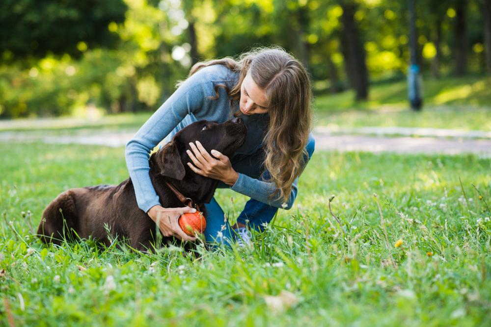 How to Check and Where Should You Check Your Dog for Ticks?