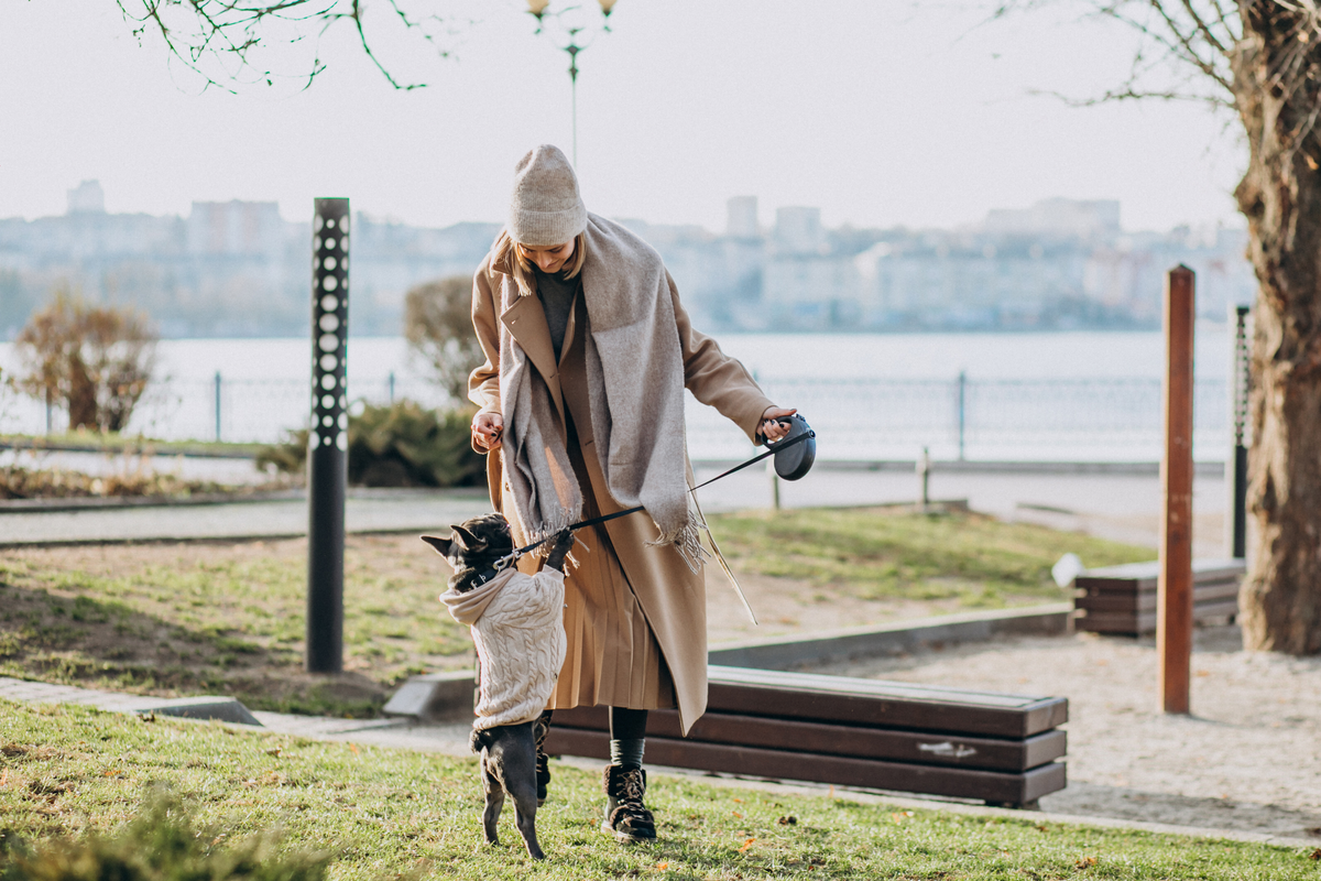 Pro Tips for Walking Your Dog in Winter