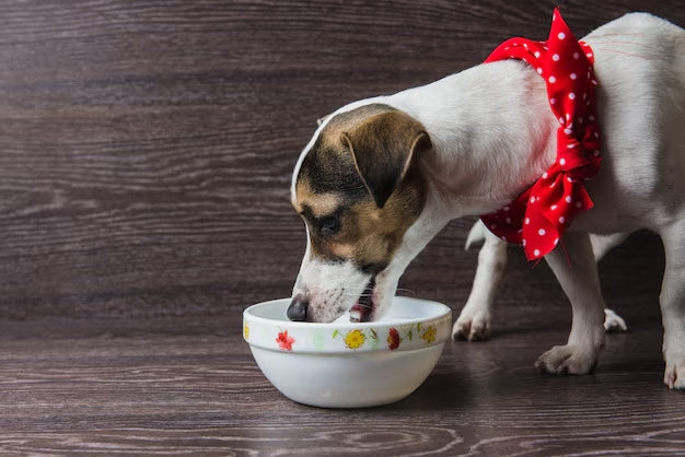 Pros and Cons of Pig Ears For Dogs