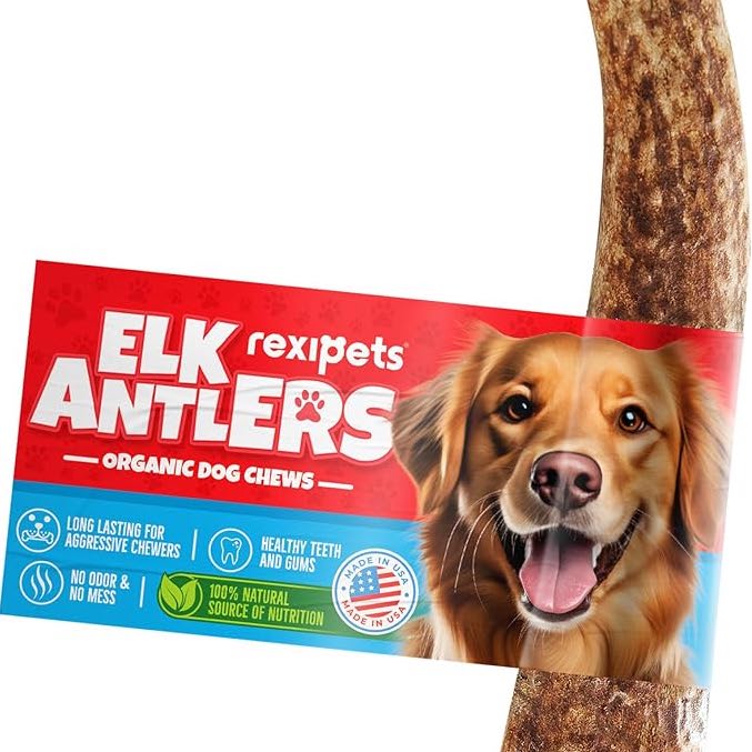 Split Elk Antlers for Dogs