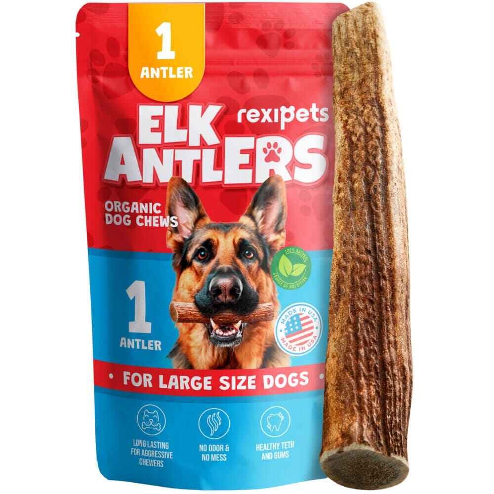 Whole Elk Antlers for Dogs