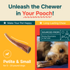 Whole Elk Antlers for Dogs - Medium - (5 Value Pack)