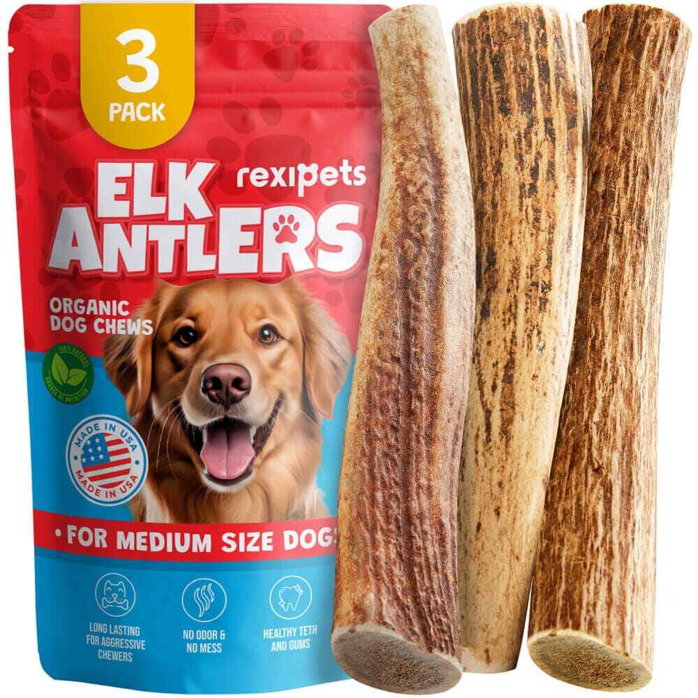 Whole Elk Antlers for Dogs RexiPets