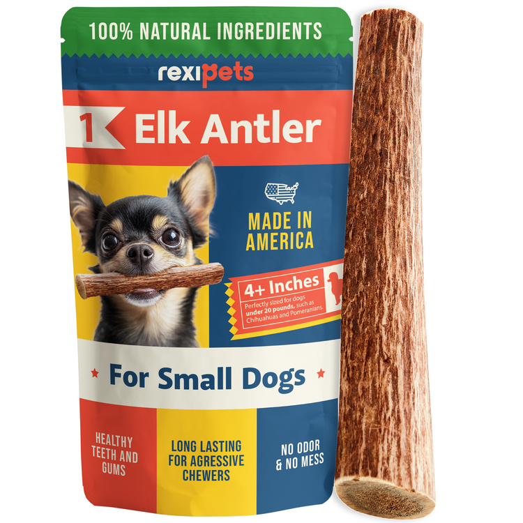 Whole Elk Antlers for Dogs - Small
