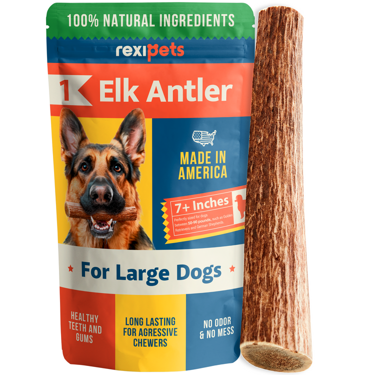 Whole Elk Antlers for Dogs - Large