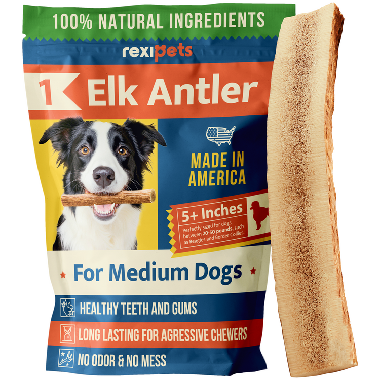 Split Elk Antlers for Dogs - Extra Large