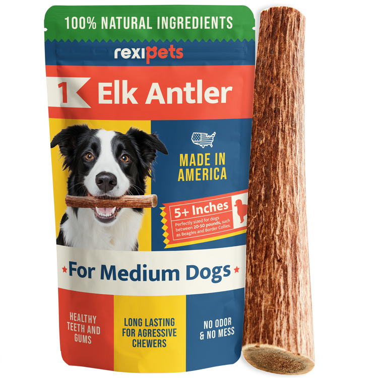 Whole Elk Antlers for Dogs - Medium - (5 Value Pack)