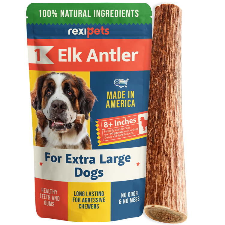Whole Elk Antlers for Dogs - Extra Large