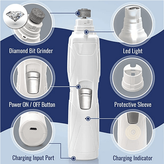 Rexipets Online Pet Store for Dogs & Cats RexiPets