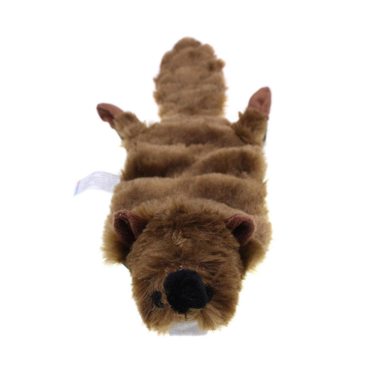 Squeaky Plush Dog Toy Ghost Raccoon