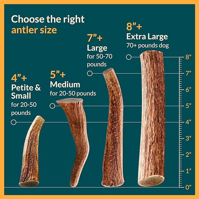 Split Elk Antlers for Dogs