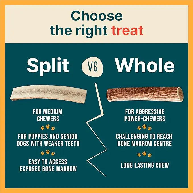 Split Elk Antlers for Dogs