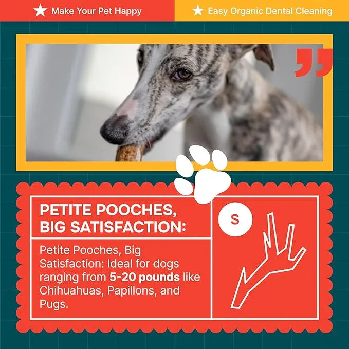 Split Elk Antlers for Dogs