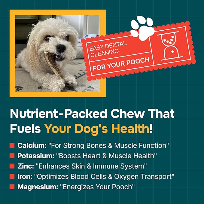 Split Elk Antlers for Dogs