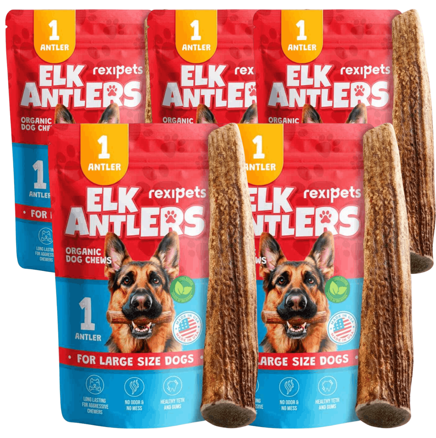 Whole Elk Antlers for Dogs