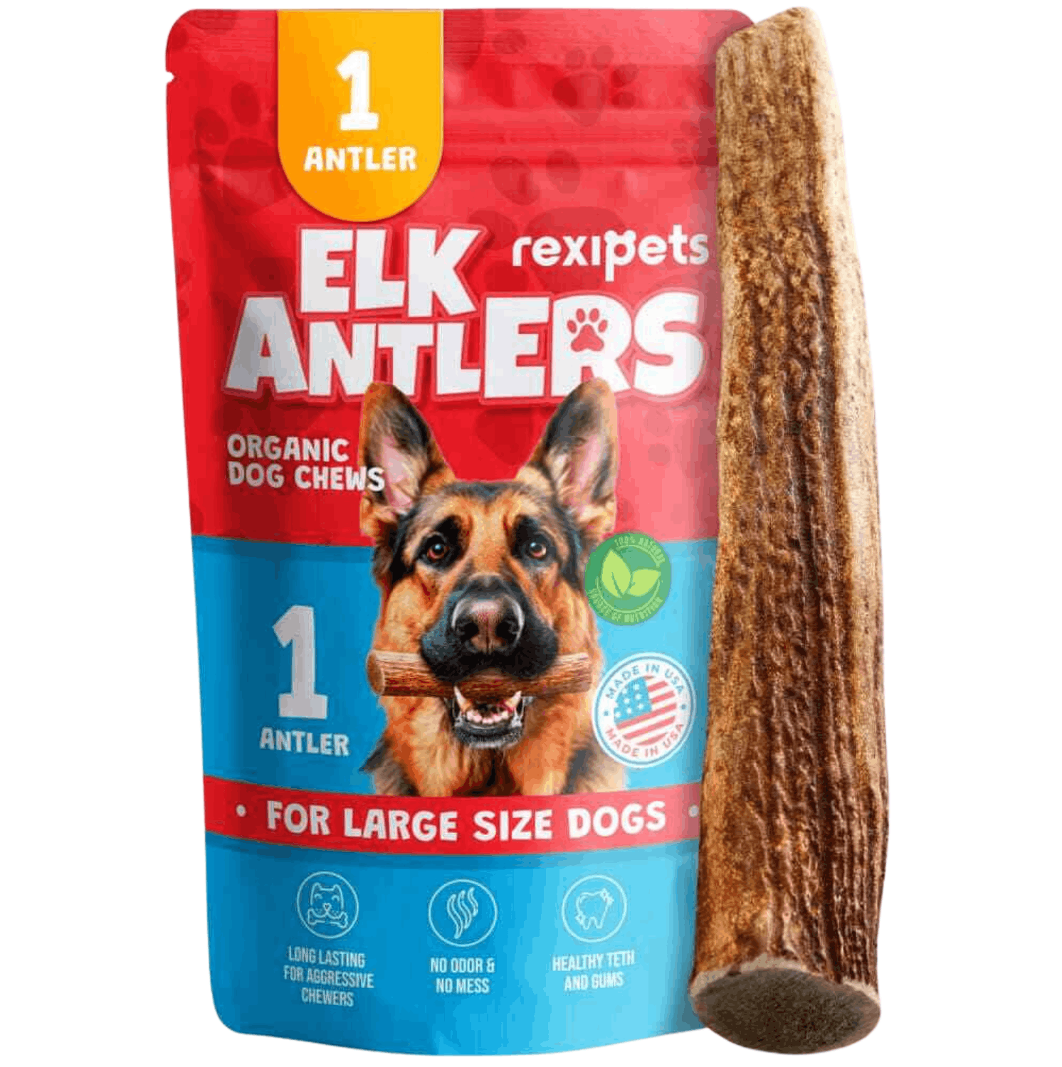 Whole Elk Antlers for Dogs