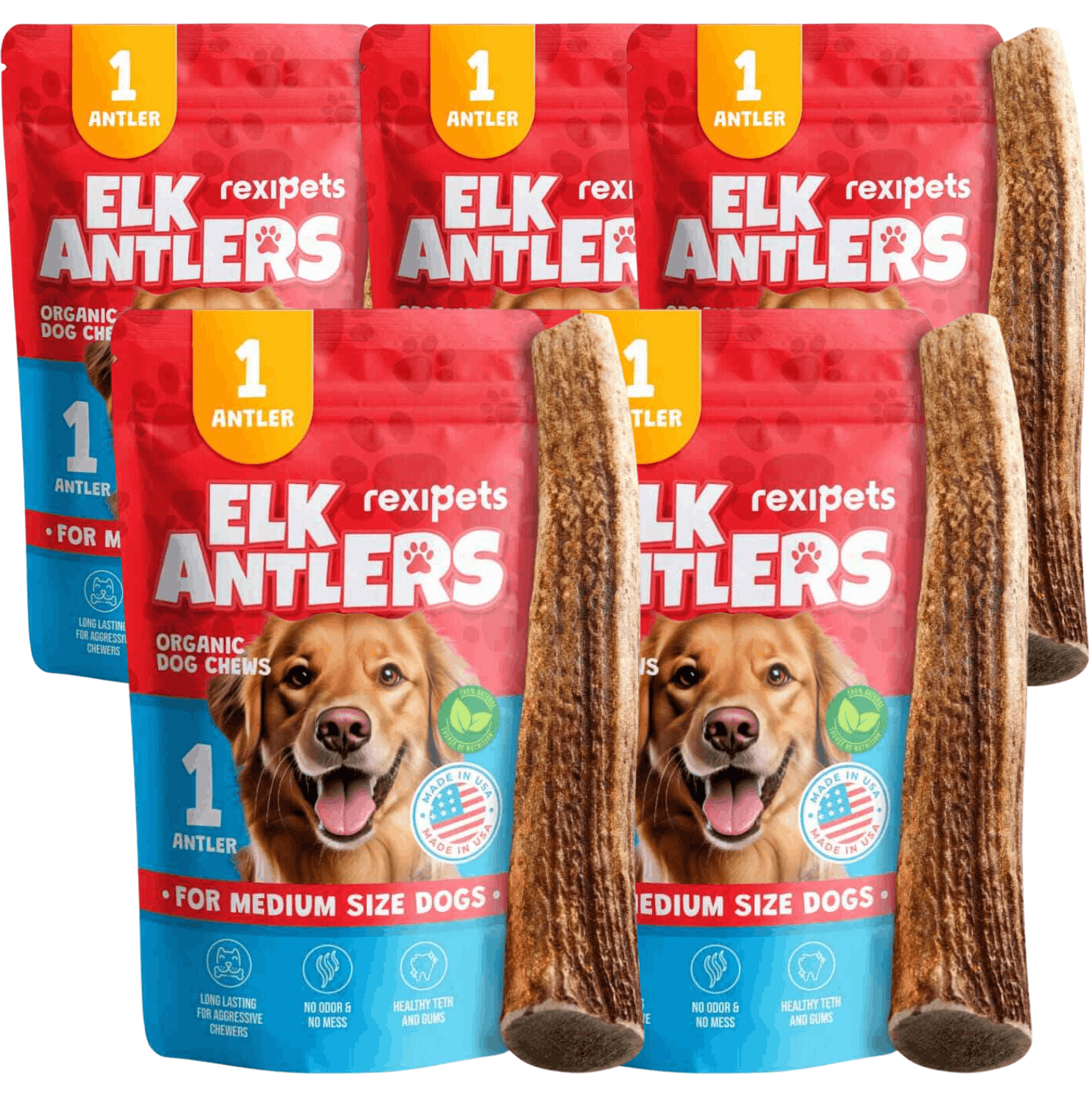 Whole Elk Antlers for Dogs