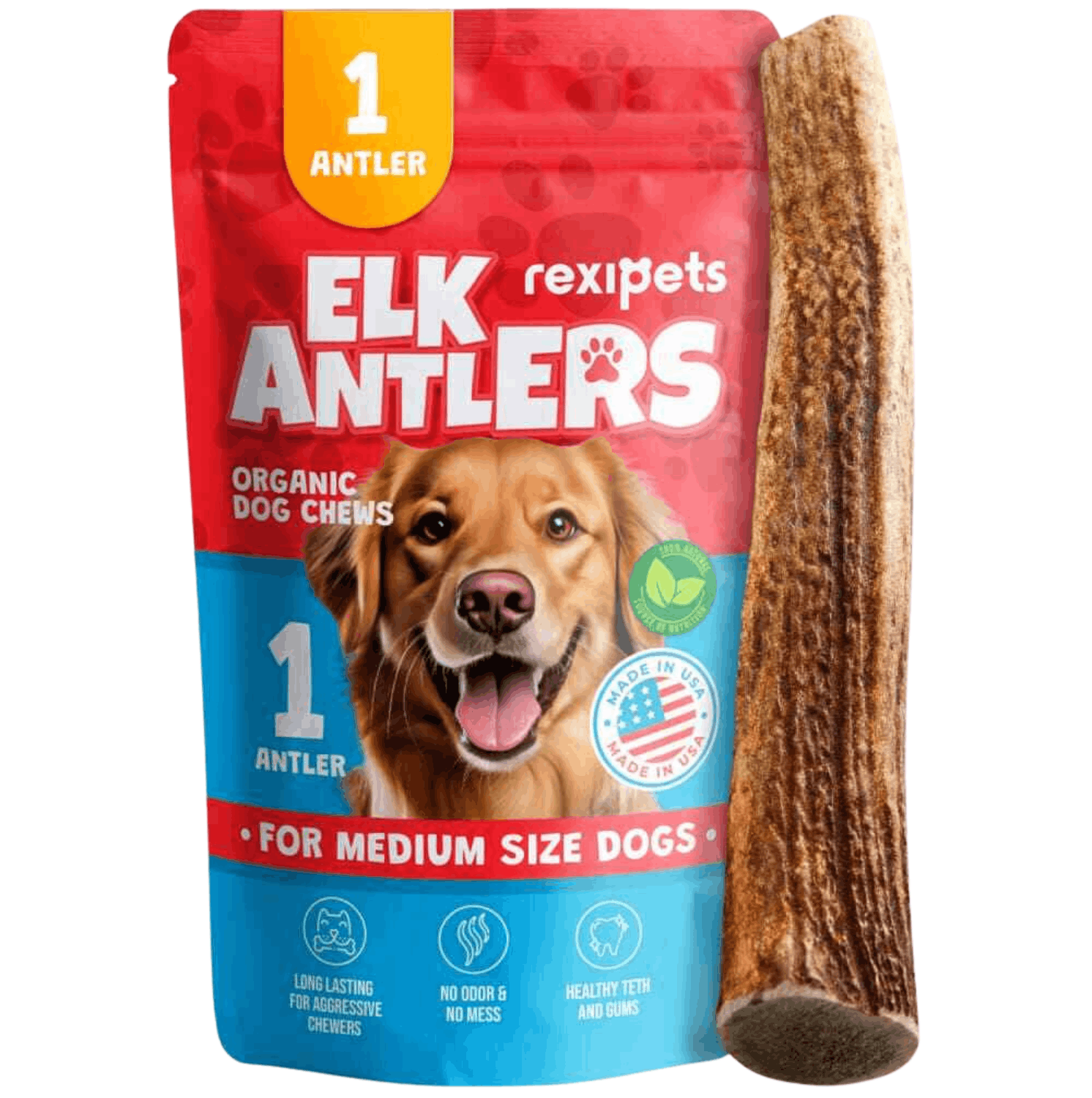 Whole Elk Antlers for Dogs