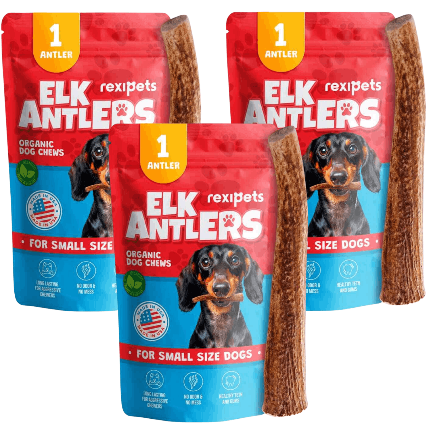 Whole Elk Antlers for Dogs