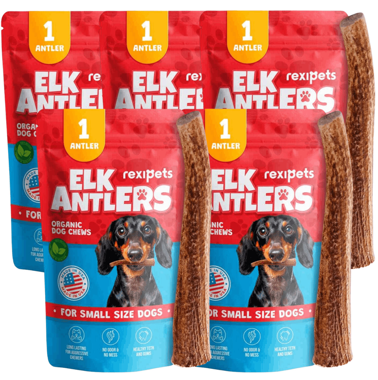 Whole Elk Antlers for Dogs