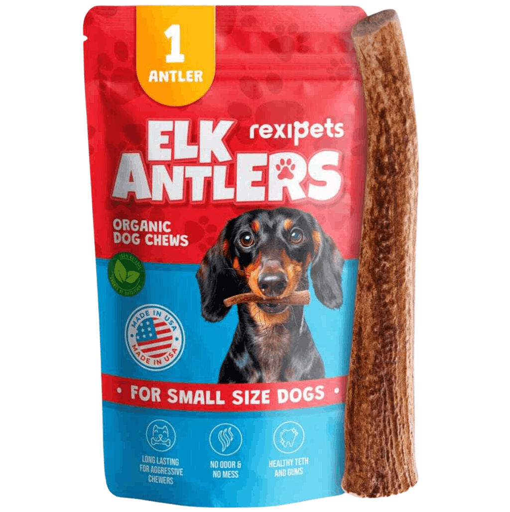 Whole Elk Antlers for Dogs