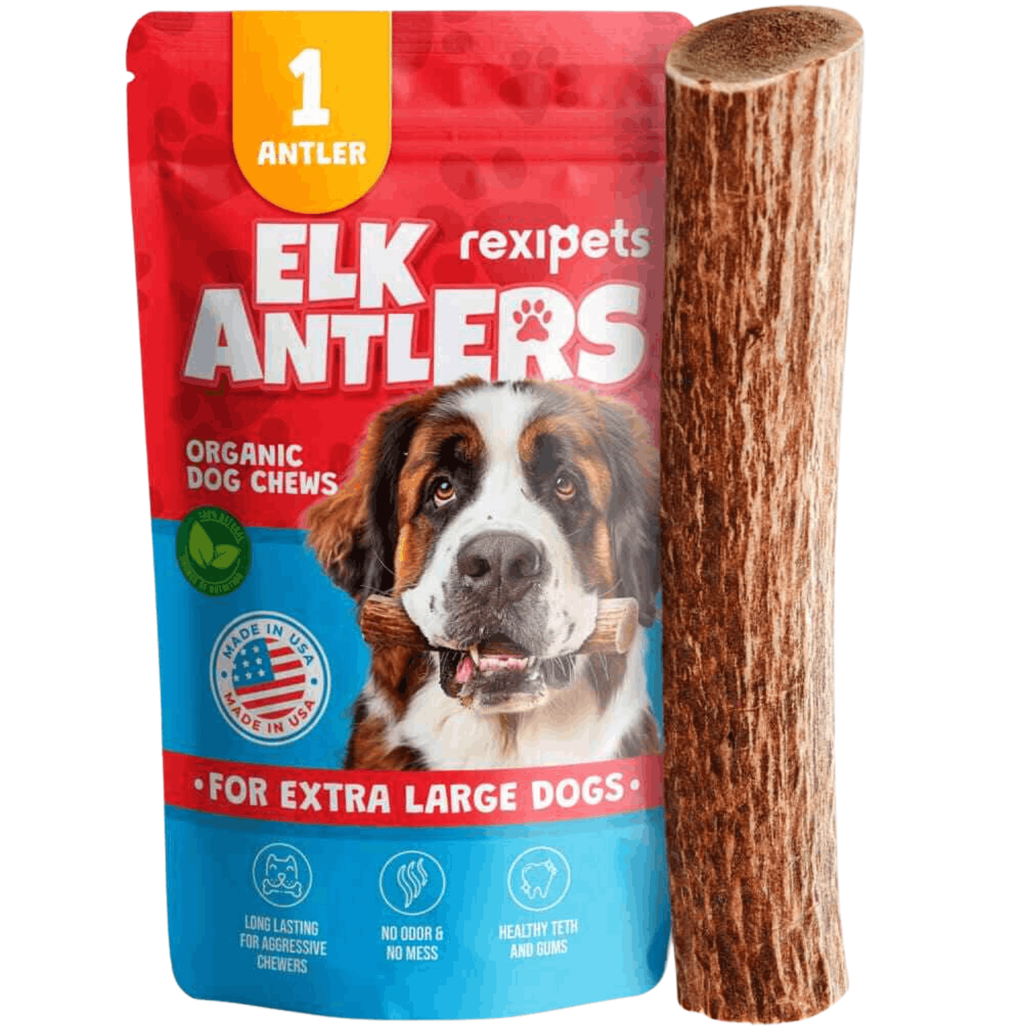 Whole Elk Antlers for Dogs