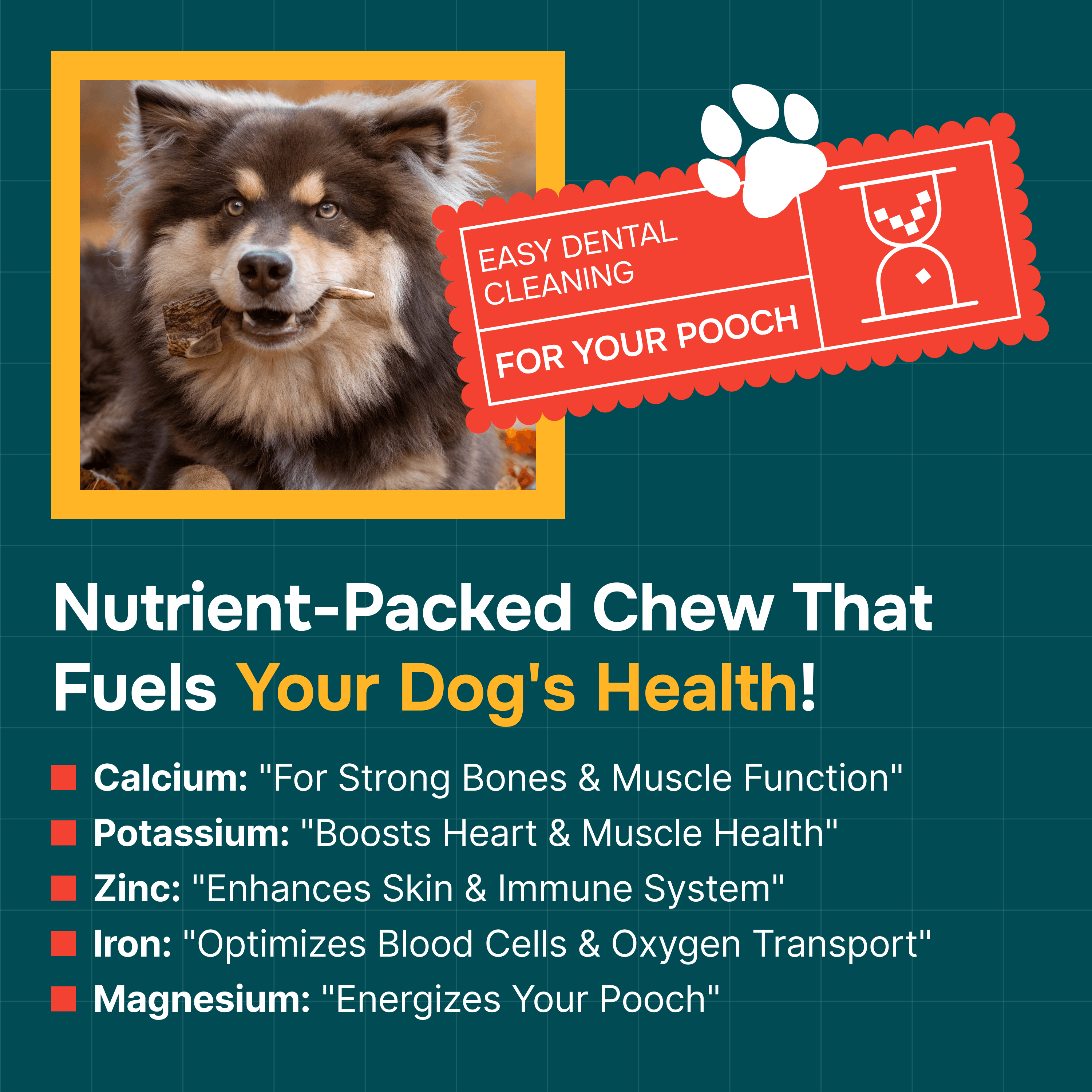 Whole Elk Antlers for Dogs