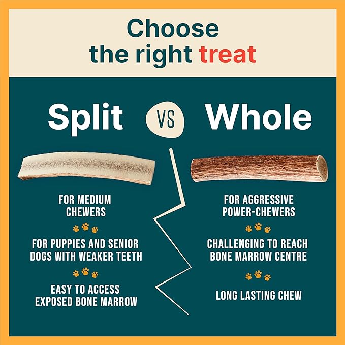 Whole Elk Antlers for Dogs