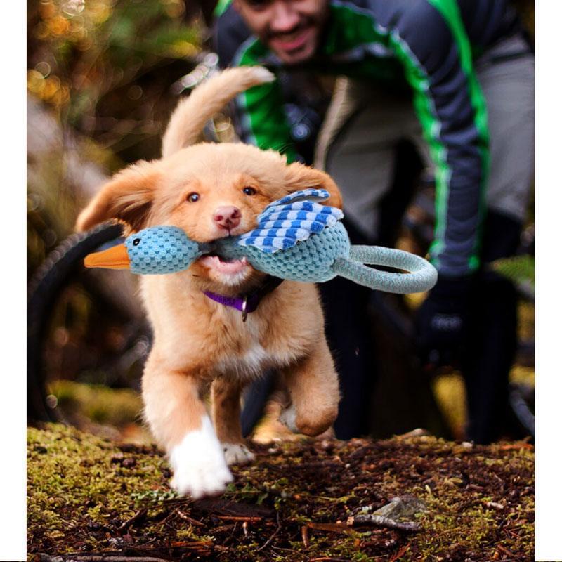 Squeaky Plush Dog Toy Blue Sky Duck