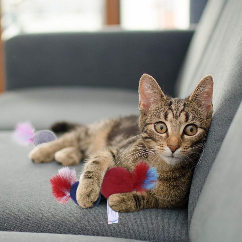 Soft Feather Ball Cat Toy