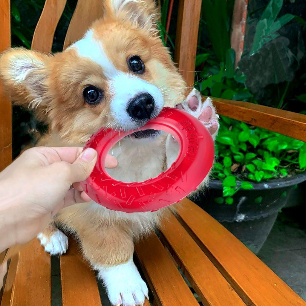 Dog Chew Ring