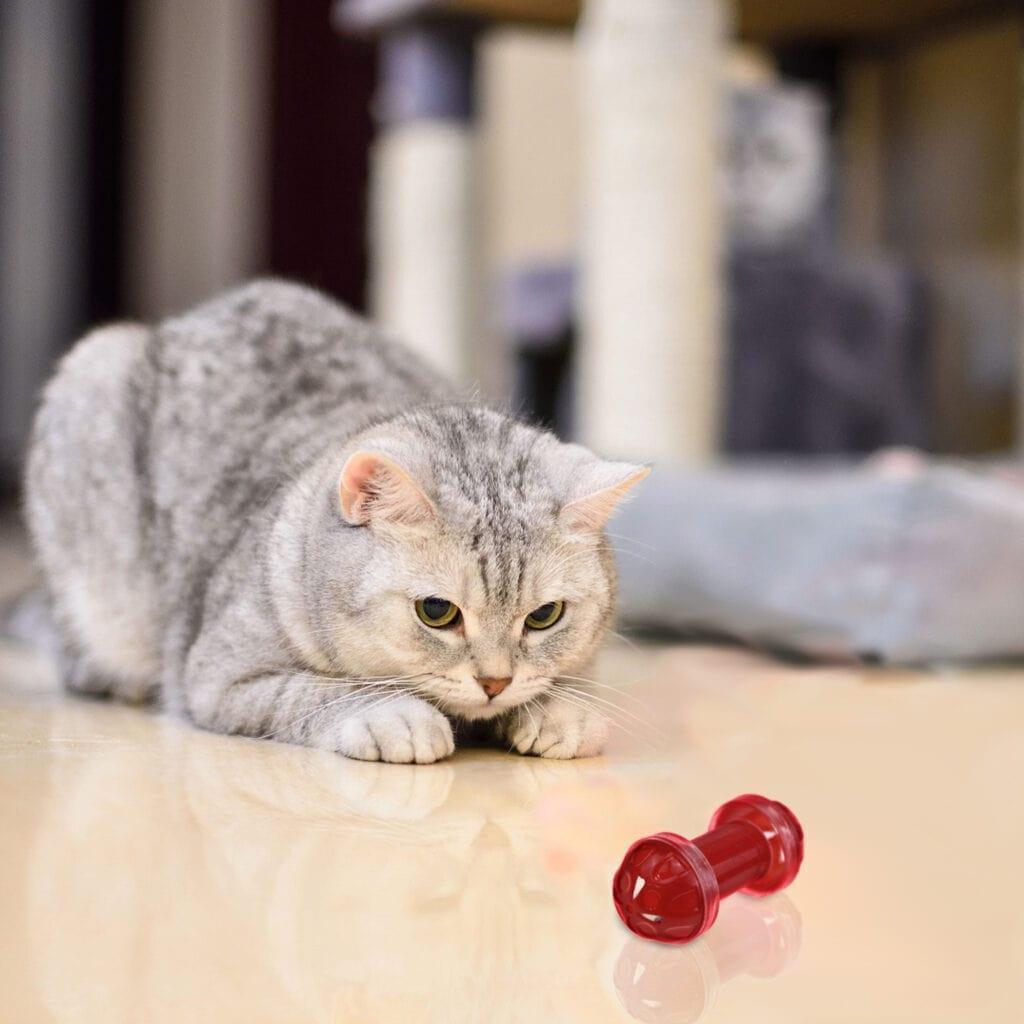 Cat Line Chaser Cat Chaser Toy Roller Chaser | RexiPets