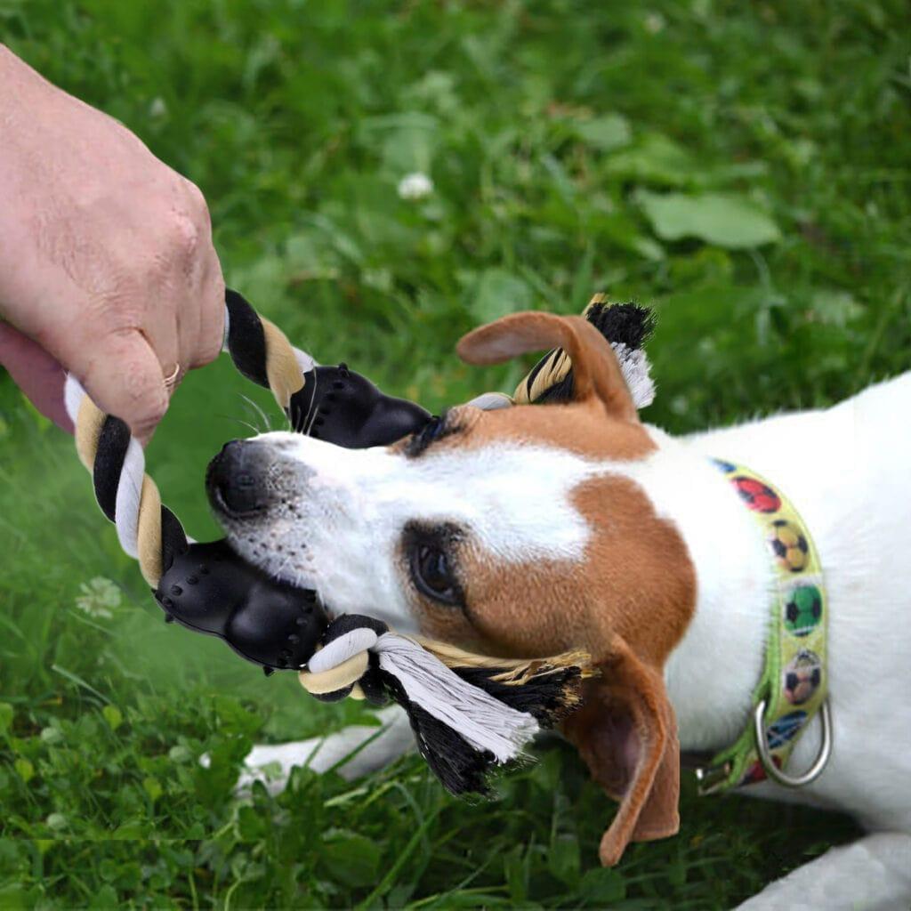 Dog Chew Toy Tug Bone