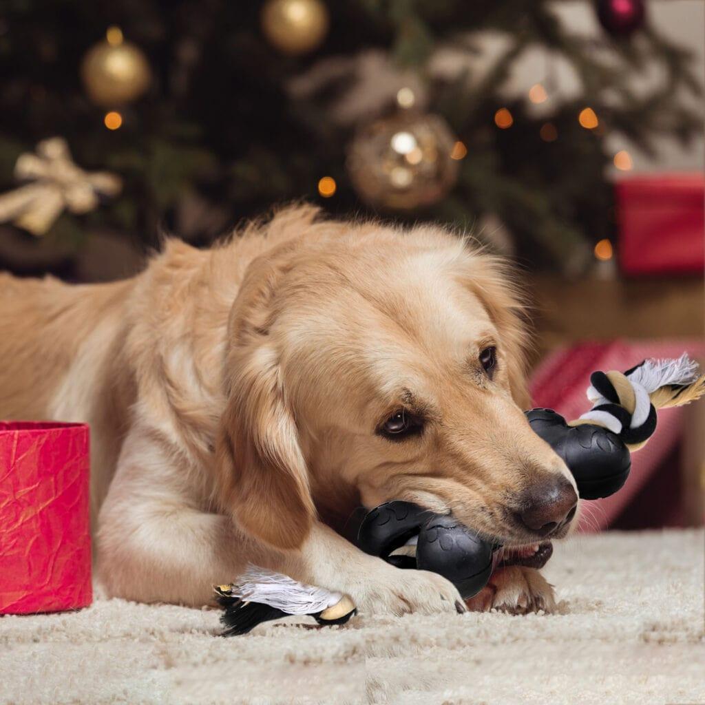 Dog Chew Toy Tug Me Bone