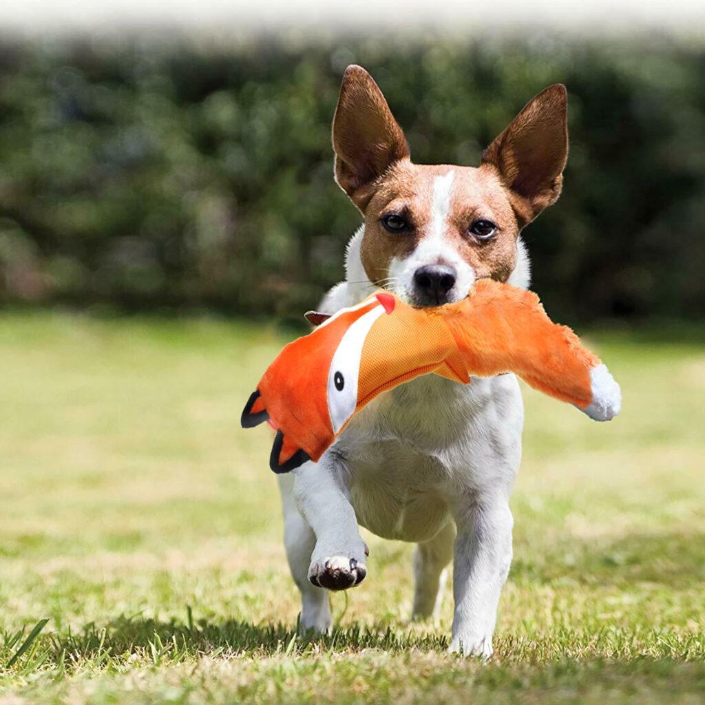 Squeaky Plush Dog Toy Wild Forest Fox