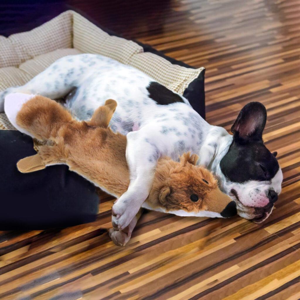 Squeaky Plush Dog Toy Speedy Fox