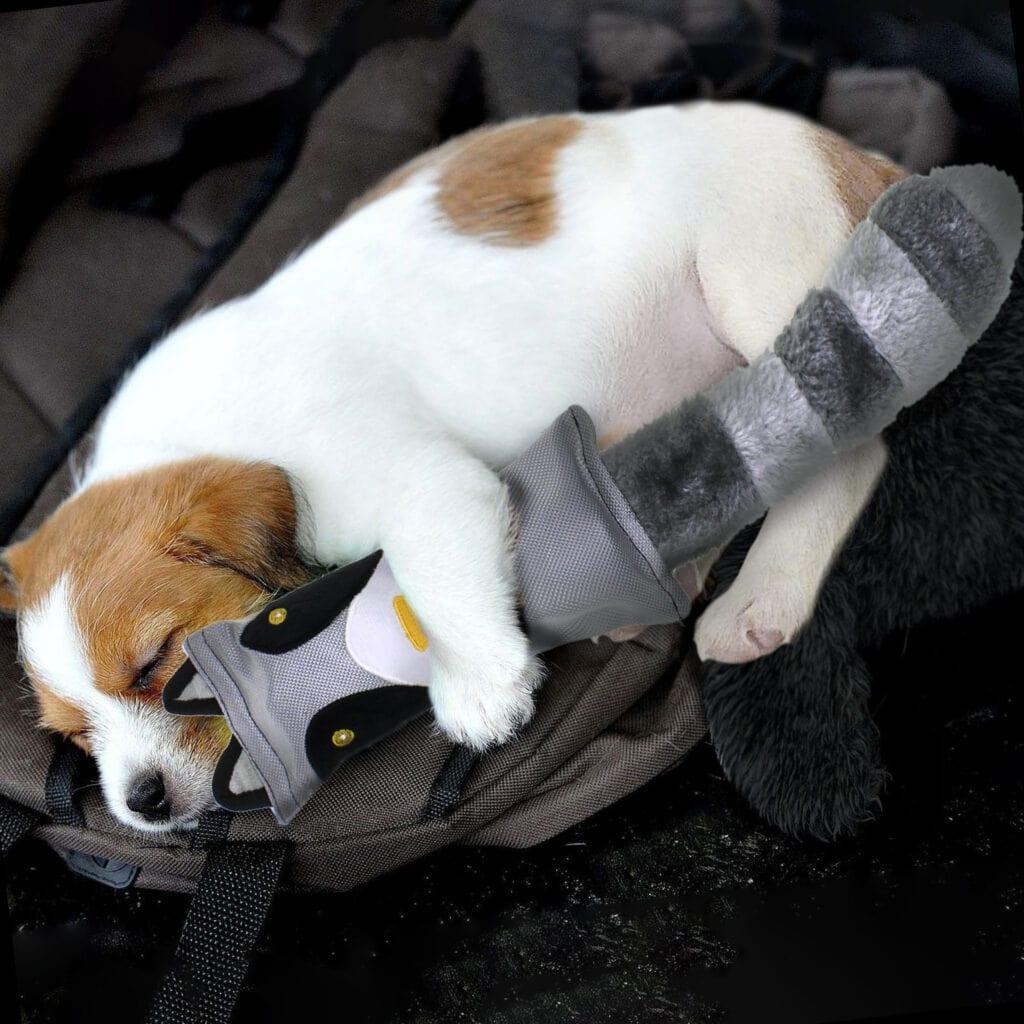 Squeaky Plush Dog Toy Wild Forest Raccoon